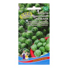 Cabbage seeds 