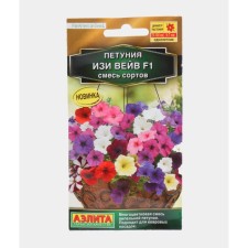 Petunia seeds 