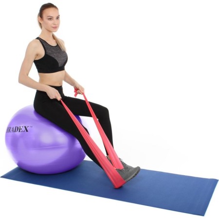 Fitball Bradex "Fitball-65" d = 65 cm, with a pump, purple-6