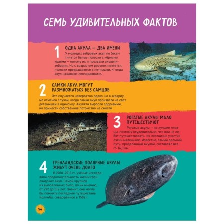 Sharks. Illustrated encyclopedia. Mason P.-7