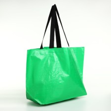 Bag Hoz A single -flower, 35*17*33, department without lightning, handle dl 70cm, green