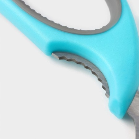 Scissors kitchen shares "Elba", 22 cm, blue color-6