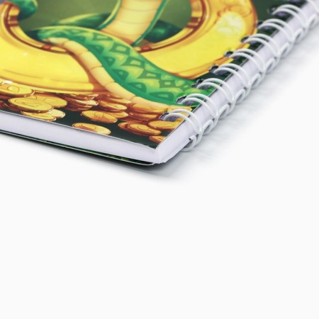 Double notebook on the crests "Catch good luck by the tail"-1