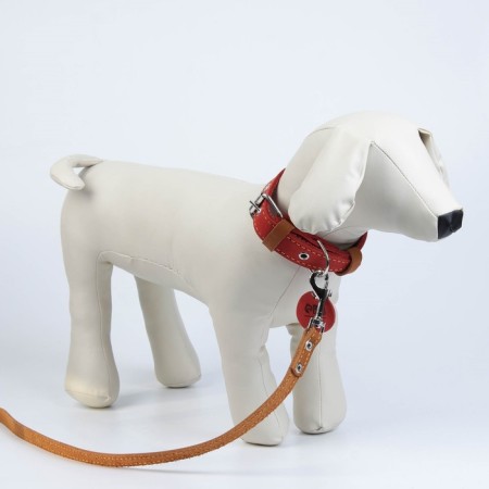 Set: collar (36-56x2.5 cm) and leash (130x1.5 cm), raspberry and beige color-3