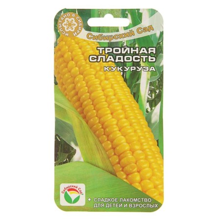 Corn seeds "Triple sweetness", 10 pcs.