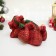Piggy bank "Dragon Dreamer" Red, 28x17.5x13cm