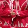 Female jumper SL, 50-52, fuchsia