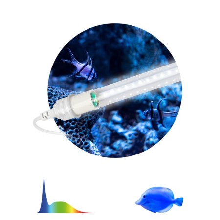 LED phytolamps, for plants and aquarium, 10 watts, full spectrum, "era"-1