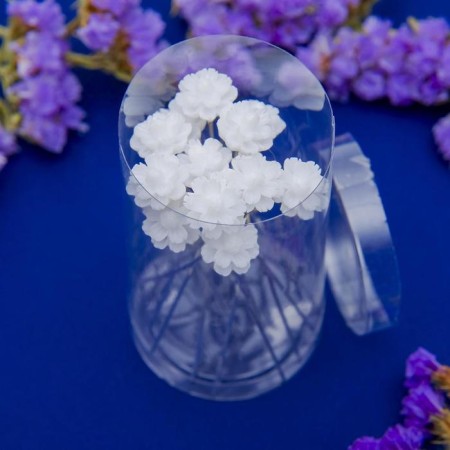 Hair hairpin "Vasille" White-1