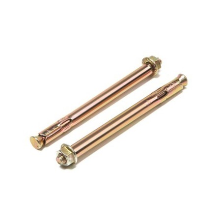 Steelrex anchor bolt, with a nut, galvanized, 8x100 mm, 2 pcs