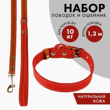 Set: collar (36-56x2.5 cm) and leash (130x1.5 cm), raspberry and beige color