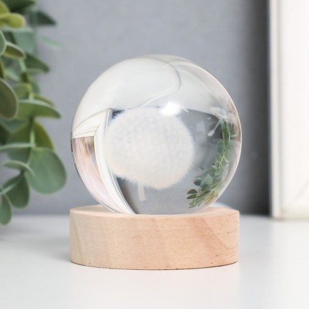 Souvenir glass backlight "Dandelion" d = 6 cm stand wood, usb 6.5x6.5x7.5 cm-2