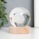 Souvenir glass backlight "Dandelion" d = 6 cm stand wood, usb 6.5x6.5x7.5 cm