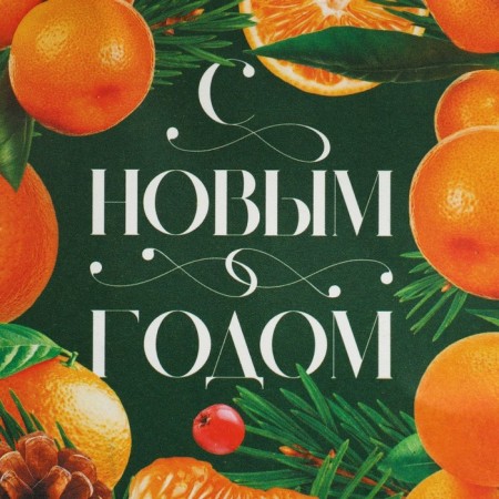Crafts "Mandarin mood", 15 x 10 x 6 cm, New Year-5