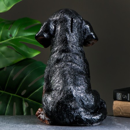 Pigpine "Rotweiler Puppy" 28x20cm-2