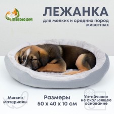 Lynchik for animals 