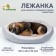 Lynchik for animals "Link", 50 cm, gray