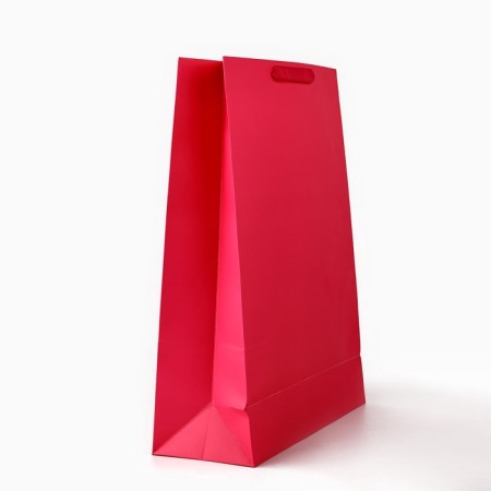 Laminated vertical packet “From the whole heart”, glitter, l, 31 × 40 × 11.5 cm-2
