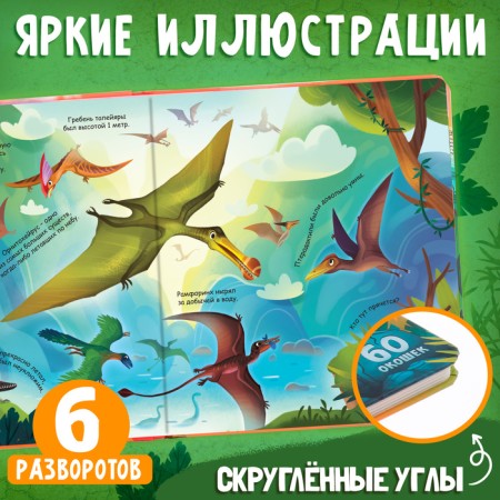 Book with windows "Secrets of dinosaurs", 60 windows-4