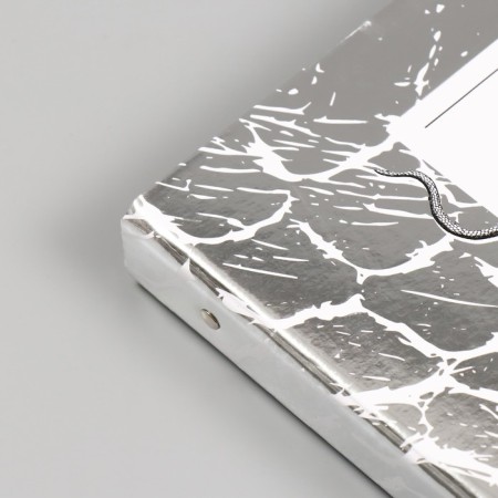 Photo album 25 sheets (corners+rings) "Snake leather" silver 19x27x3 cm-5