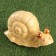 Garden figure "Snail" ivory, 28x16x12cm