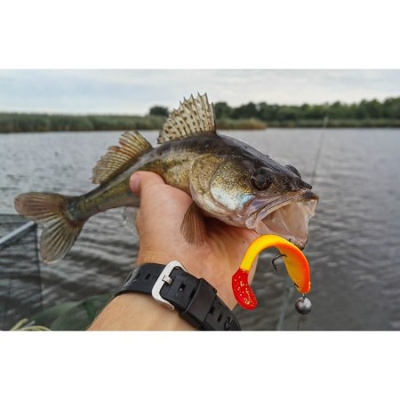 Vibro -highs LJ 3D Series Red Tail Shad 7.0in (17.80)/PG03 2pcs.-2