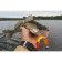 Vibro -highs LJ 3D Series Red Tail Shad 7.0in (17.80)/PG03 2pcs.