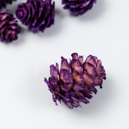 Decor for creativity "Pine violet bump" size 2-4 cm-1