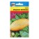 Melon seeds "honey spindle",