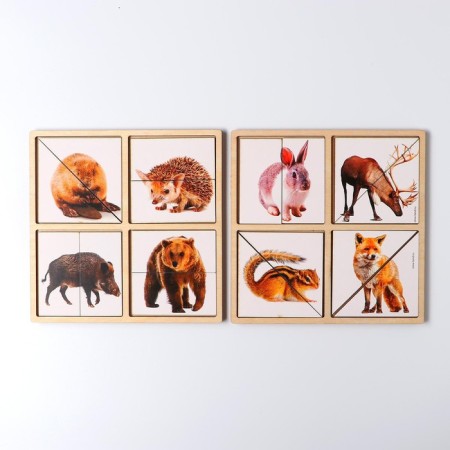 Pictures-pools "Forest animals"-3