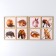 Pictures-pools "Forest animals"
