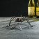 Spider Boot stand