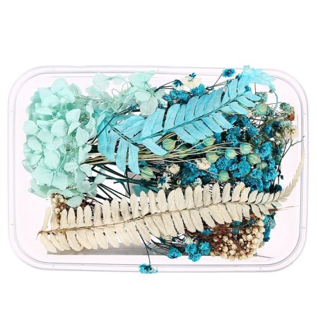 Set for creativity "Set of dry flowers" large, blue-1