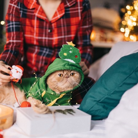 Animal costume "Christmas tree", size s, green-16