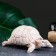 Figure "Turtle Greek" ivory, 18x15x10cm
