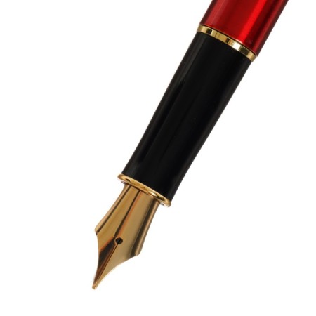 Gift feathers in the leatherette case PB S, brick body with gold-3