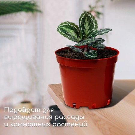 Pot for seedlings, 10 l, d = 29 cm, h = 22.5 cm, terracotta, Greengo-1