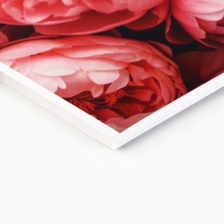 Album for drawing on A4 gluing, 40 sheets "Flowers"-1