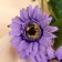 Artificial flowers "Garden Garden" 6x50 cm, purple
