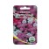Flower seeds Iberis umbrella, "coke of colors", 0.2 g