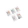 Sasha Massage oil with pheromones of the little cutting “Coquet”, 5 g