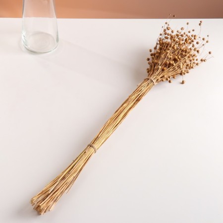 A set of dried flowers "Lenon-debunge", banch length 55-60 (+/- 6 cm), natural-3