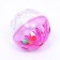 Ball for cats "Fun family" with plastic balls inside, 4.2 cm, packing 50 pcs