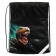 School backpack, 39 x 28 x 18 cm, + bag for shoes, calligrata p "Cool dino", green