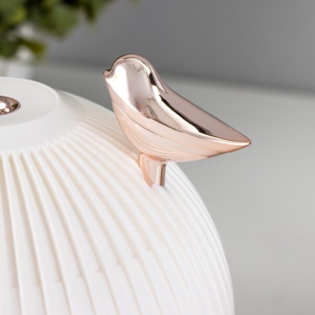 Night with a humidifier ball LED USB AKB White 12x12x11.5 cm Risalux-10