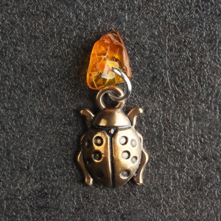 Talisman Talisman "God's cow", brass, amber