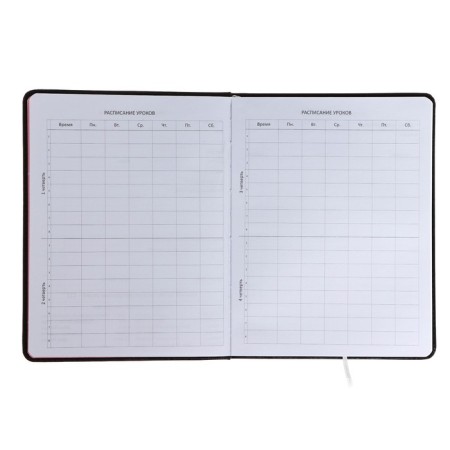 Universal diary for grade 1-11 CAT, hard cover, artificial leather, foam rubber, liescse, 80 g/m2-4