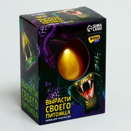 Set for creativity. Grow up your pet "snake"-3