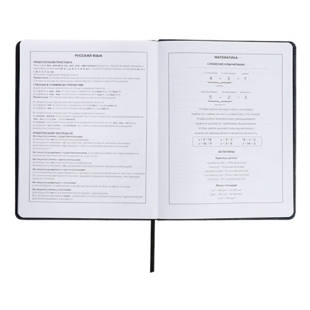 School diary for grades 1-11 “Owl Girl”, hard cover, artificial leather, “soft-tach”, lies, 48 ​​sheets, universal cheat sheet, block 80g/m2-9