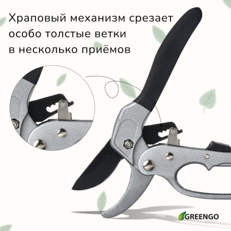 Contact secaterator, 8 "(20 cm), with a ratchet mechanism, metal pens, Greengo-4